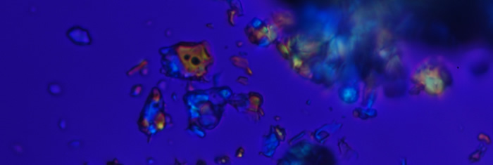 Optical microscopy on crushed synthetic forsterite grains